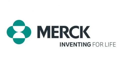 重磅！首款高活性新冠抗病毒药物三期临床提前停止，来自默沙东