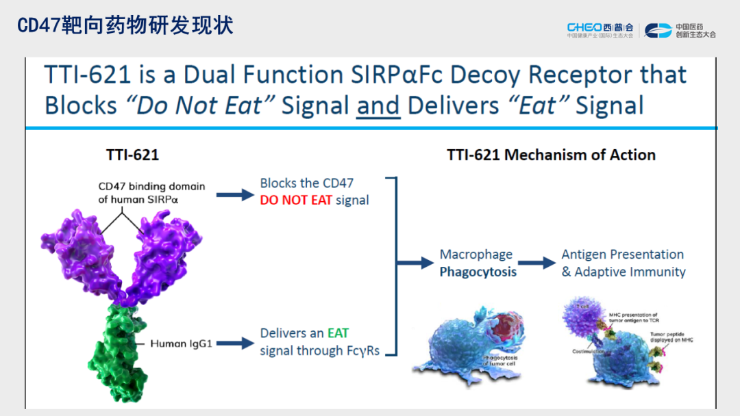 田文志博士谈CD47抗体研究进展与应用前景
