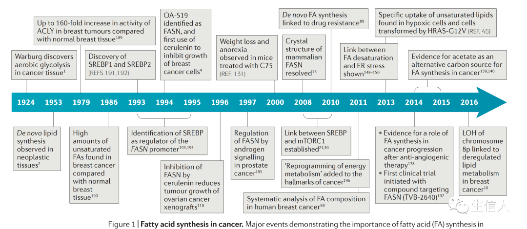 肿瘤又一个重磅热点思路：脂肪酸