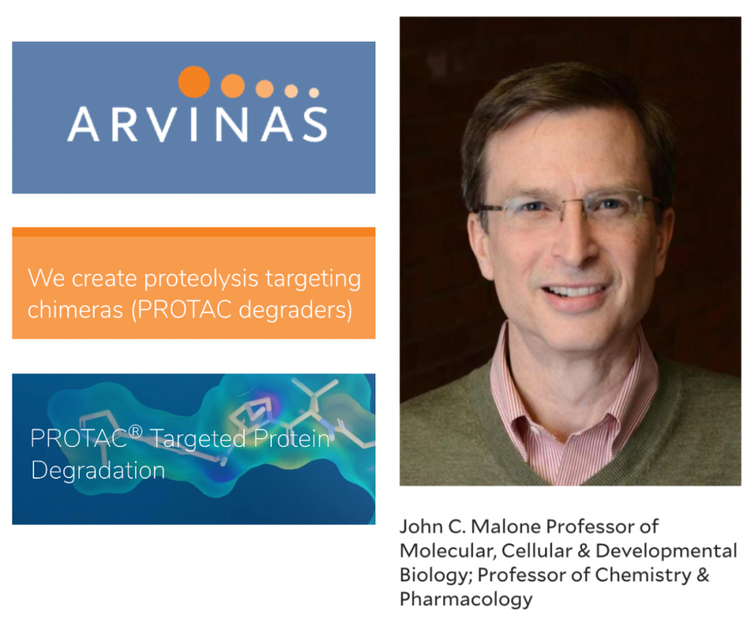 医药公司 | Arvinas—PROTAC技术先行者