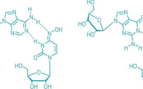 默沙东新冠小分子--机理与结构
