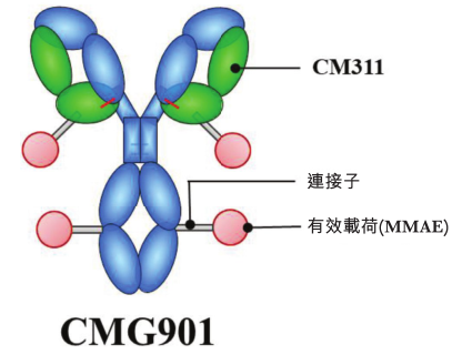 Claudin18.2胃来可期，百亿市场谁来破局？