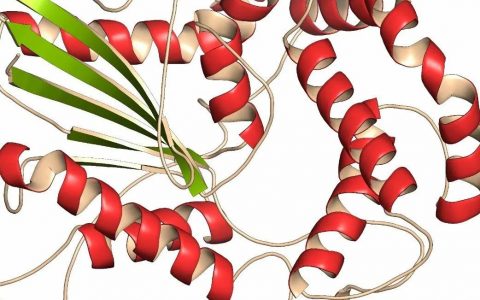 【Nature子刊】降解活性提高了300倍的一种三价PROTAC降解剂