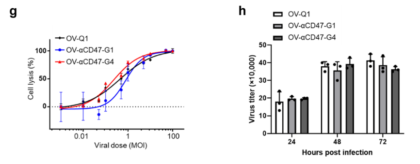 Nature子刊：溶瘤病毒+CD47，有望攻克最难治的胶质母细胞瘤