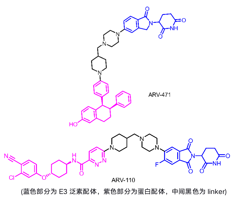 医药公司 | Arvinas—PROTAC技术先行者
