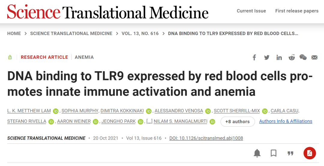 ​颠覆！除了运输氧气，红细胞竟然也和免疫息息相关！