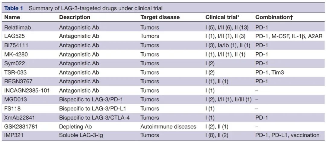 热门靶点！前景可期的LAG-3