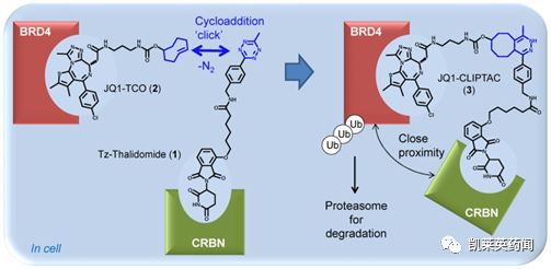 聚焦药靶：小分子药的春天，PROTAC的最新研究进展