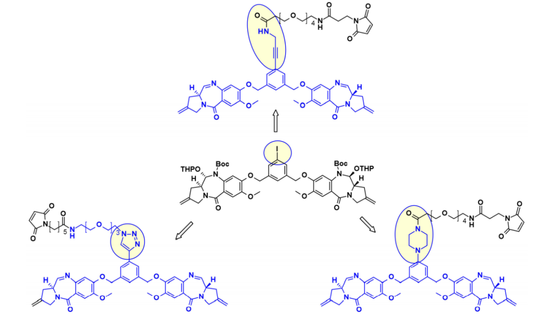 收藏！ADC全景概况（payload，linker，conjugate和Endocytosis）