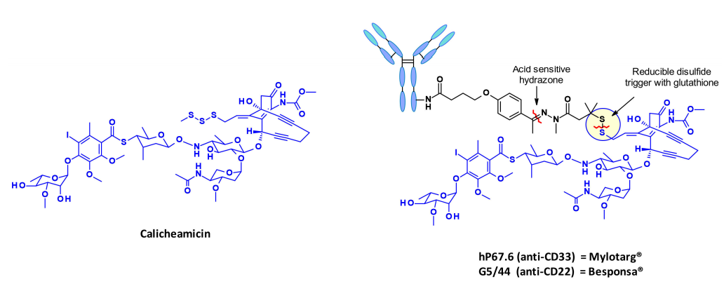 收藏！ADC全景概况（payload，linker，conjugate和Endocytosis）