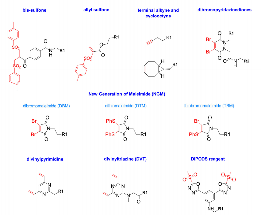 收藏！ADC全景概况（payload，linker，conjugate和Endocytosis）