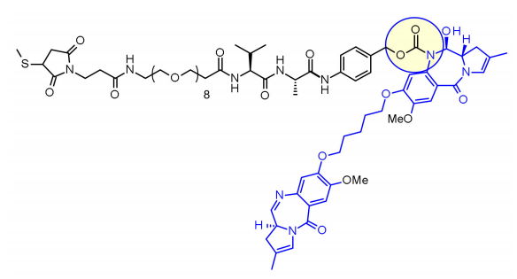 收藏！ADC全景概况（payload，linker，conjugate和Endocytosis）