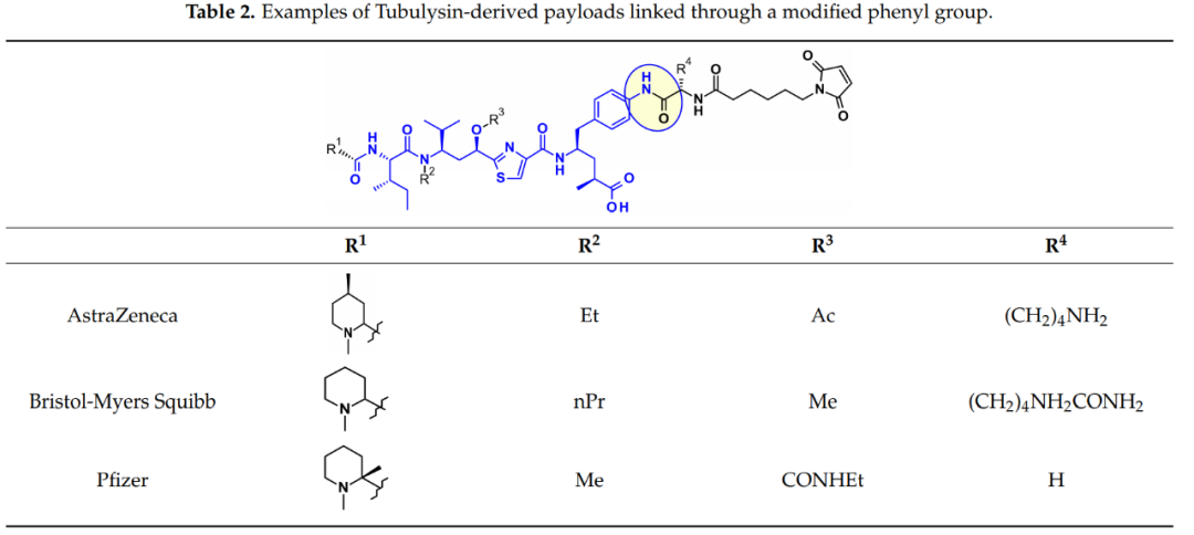 收藏！ADC全景概况（payload，linker，conjugate和Endocytosis）