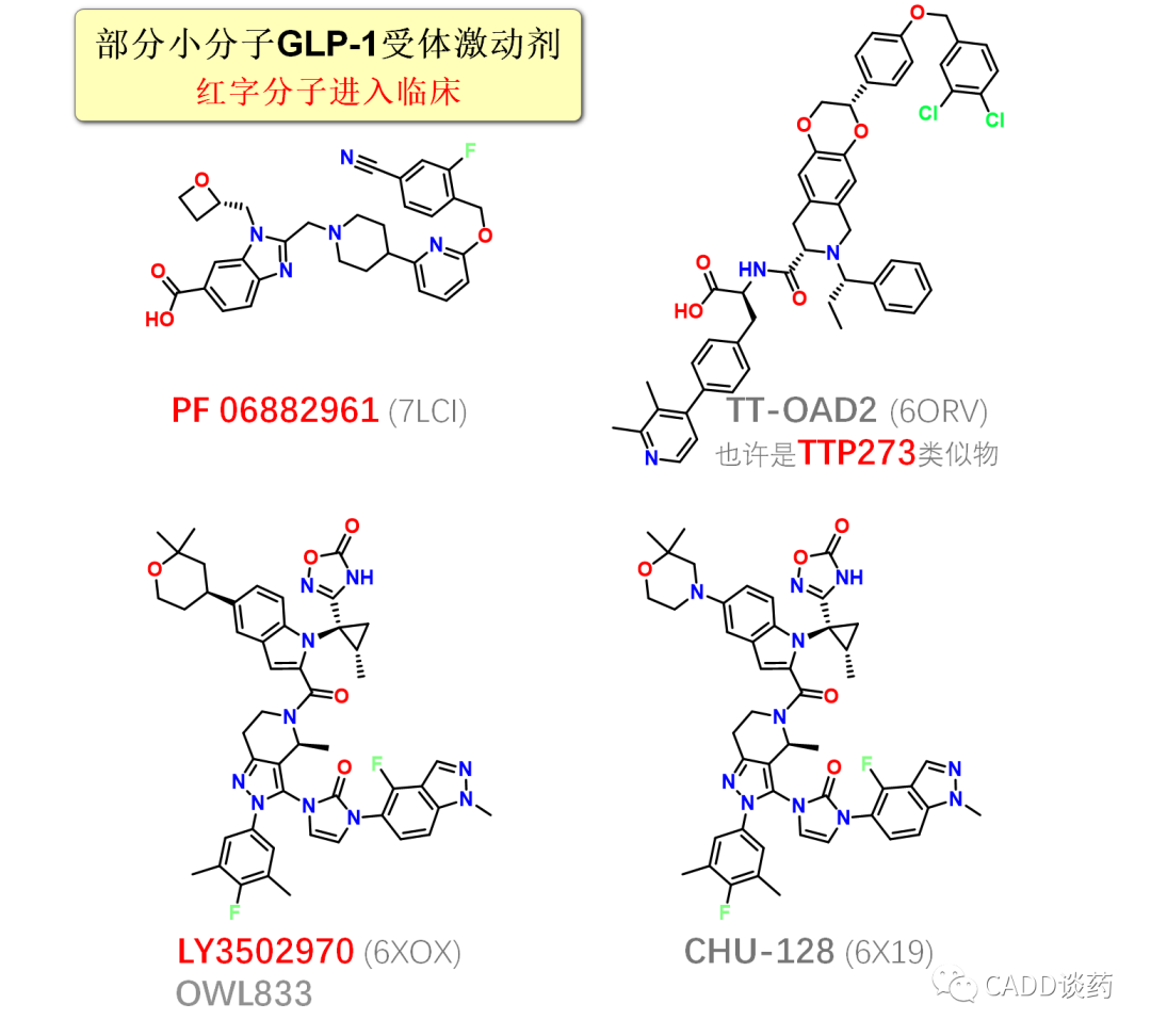 小分子GLP-1受体激动剂，从硕迪融资谈起