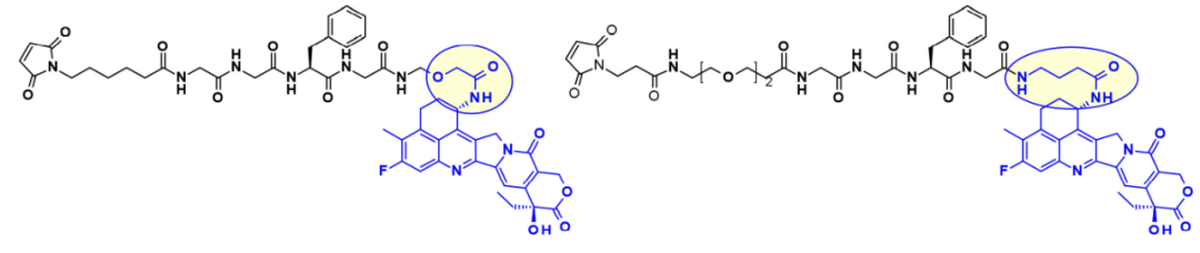 收藏！ADC全景概况（payload，linker，conjugate和Endocytosis）