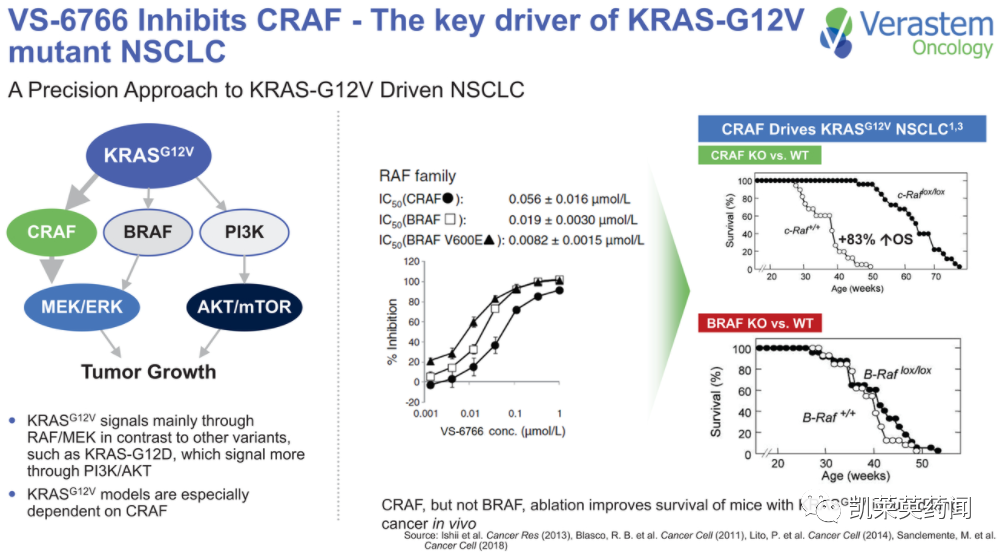 Mirati：Adagrasib联合RAF/MEK抑制剂VS-6766，三重阻断RAS信号通路