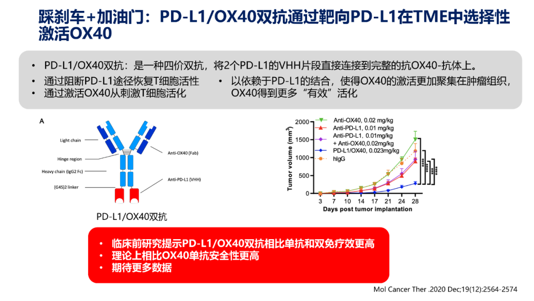 肺癌免疫治疗的机遇与挑战