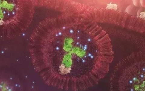 万字长文！ADC烽烟四起，III期临床群雄逐鹿：老牌玩家的“内”与“外”；HER2靶点之争；新靶点“三剑客”，创新不止于靶点