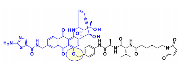 收藏！ADC全景概况（payload，linker，conjugate和Endocytosis）