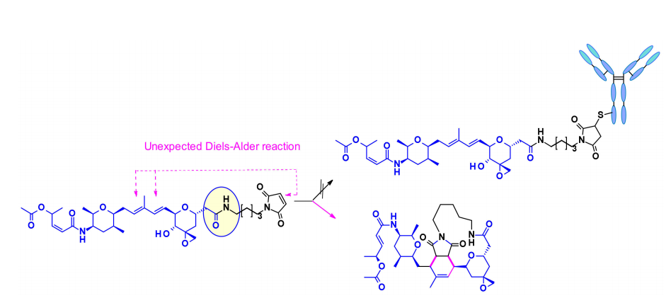 收藏！ADC全景概况（payload，linker，conjugate和Endocytosis）