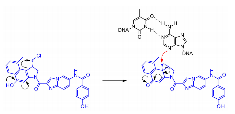 收藏！ADC全景概况（payload，linker，conjugate和Endocytosis）