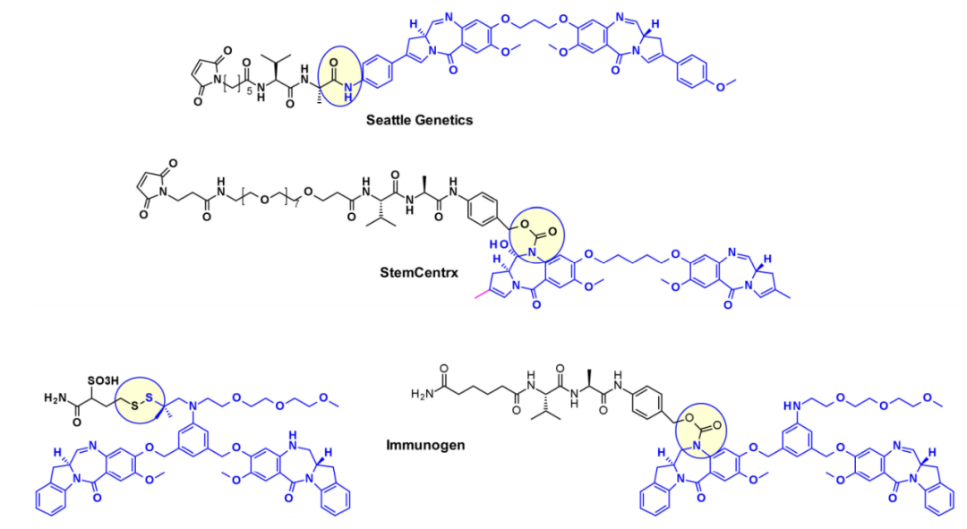 收藏！ADC全景概况（payload，linker，conjugate和Endocytosis）