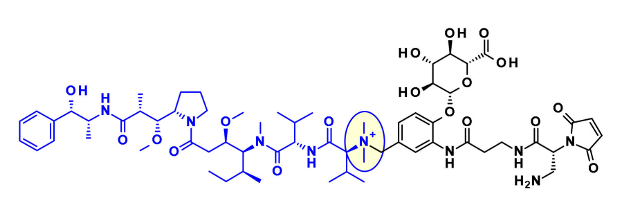 收藏！ADC全景概况（payload，linker，conjugate和Endocytosis）