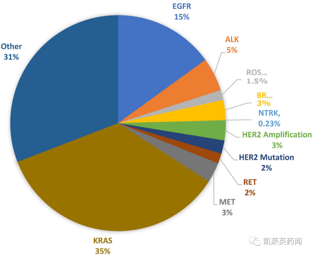 Mirati：Adagrasib联合RAF/MEK抑制剂VS-6766，三重阻断RAS信号通路