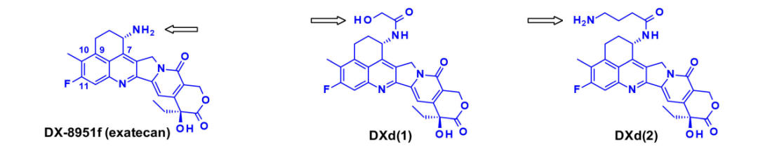 收藏！ADC全景概况（payload，linker，conjugate和Endocytosis）