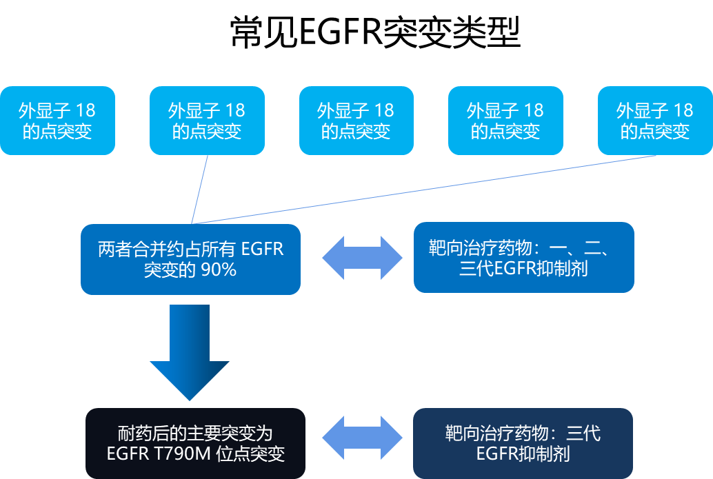 伏美替尼一线治疗达到临床终点，EGFR靶点为何经久不衰？