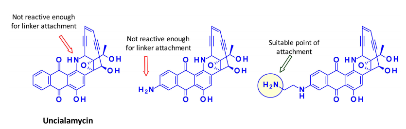 收藏！ADC全景概况（payload，linker，conjugate和Endocytosis）