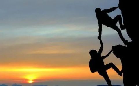 不容忽视的“连接技术”：ADC竞争的最后一公里