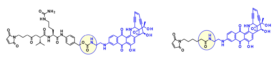 收藏！ADC全景概况（payload，linker，conjugate和Endocytosis）