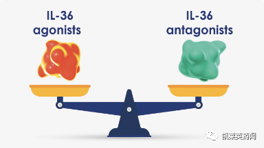 全球首个IL-36单抗上市申请获EMA受理