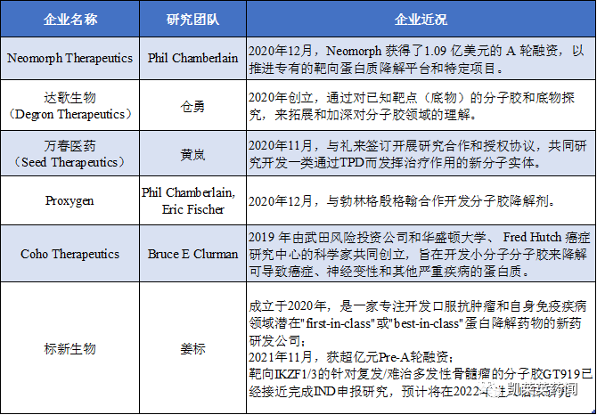 聚焦药靶：穿胶水的“恶魔”，靶向蛋白降解剂中分子胶的最新进展