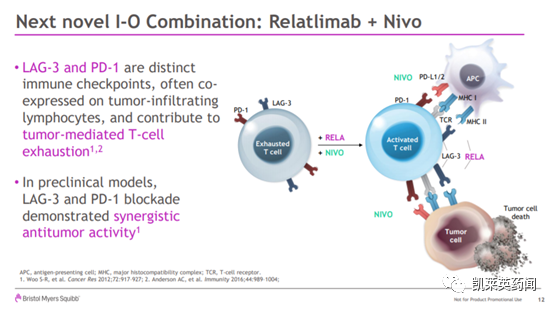 聚焦药靶：LAG-3，肿瘤免疫治疗的又一场豪赌