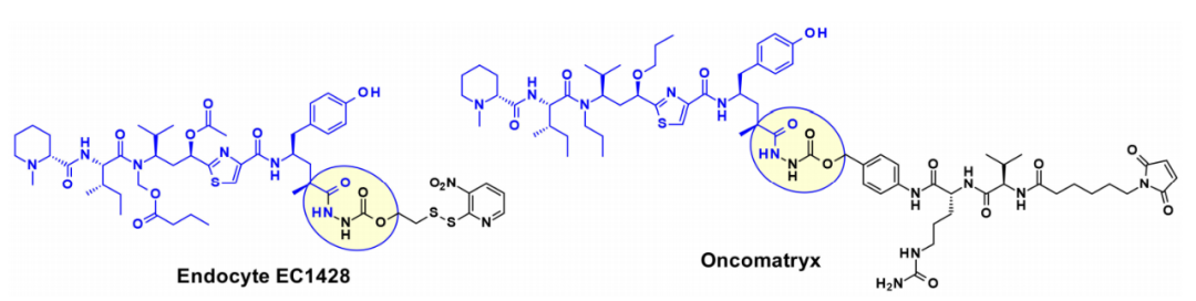 收藏！ADC全景概况（payload，linker，conjugate和Endocytosis）