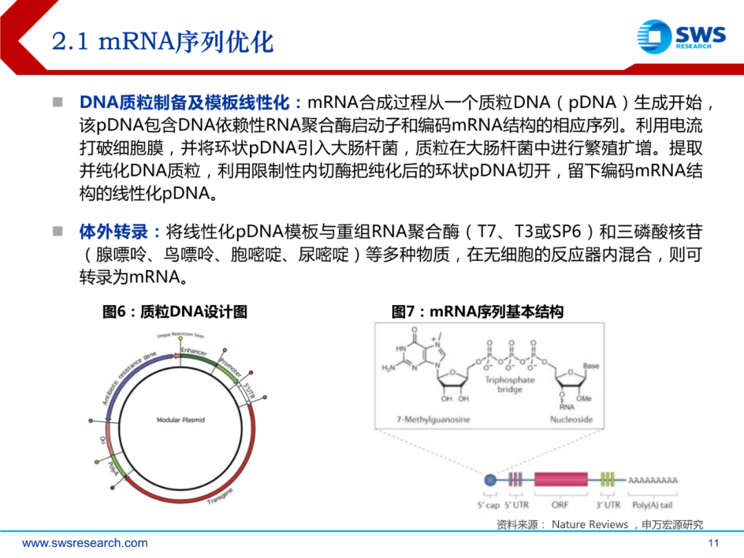 mRNA行业深度报告：乘势而起，时代新秀