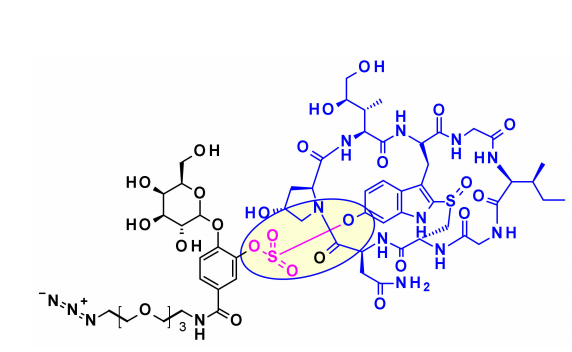 收藏！ADC全景概况（payload，linker，conjugate和Endocytosis）