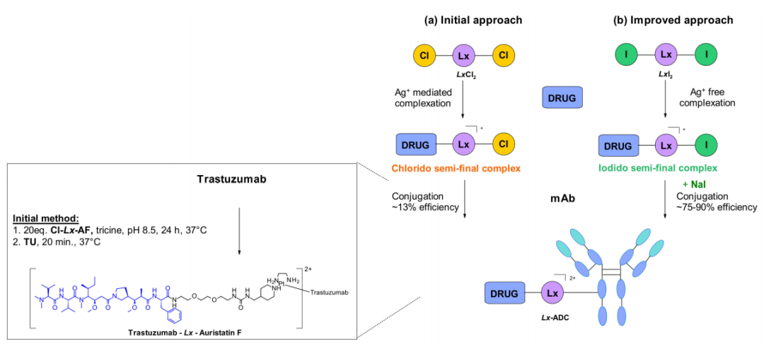 收藏！ADC全景概况（payload，linker，conjugate和Endocytosis）