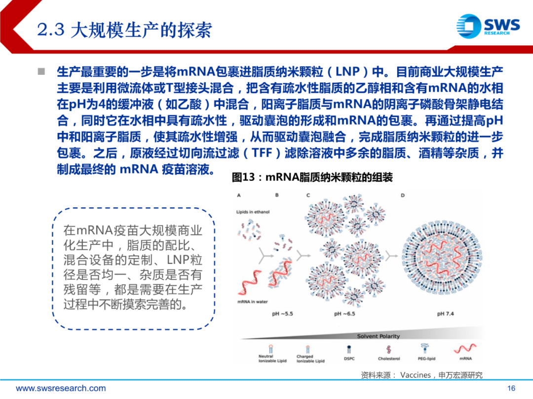 mRNA行业深度报告：乘势而起，时代新秀