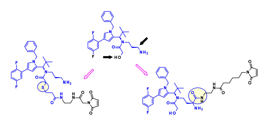 收藏！ADC全景概况（payload，linker，conjugate和Endocytosis）