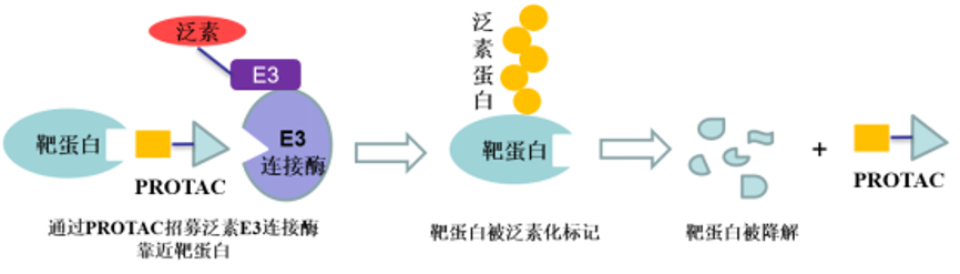 【行研】小分子药物研发中的新技术和新方法概览