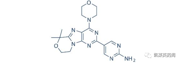 mTOR靶点的老药和新面孔