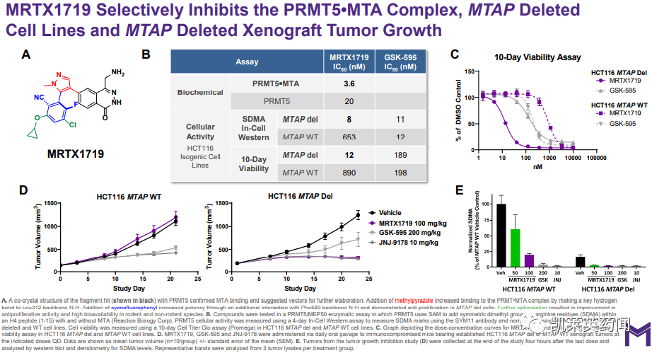 合成致死：Mirati向FDA提交PRMT5抑制剂IND，靶向MTAP缺失型肿瘤