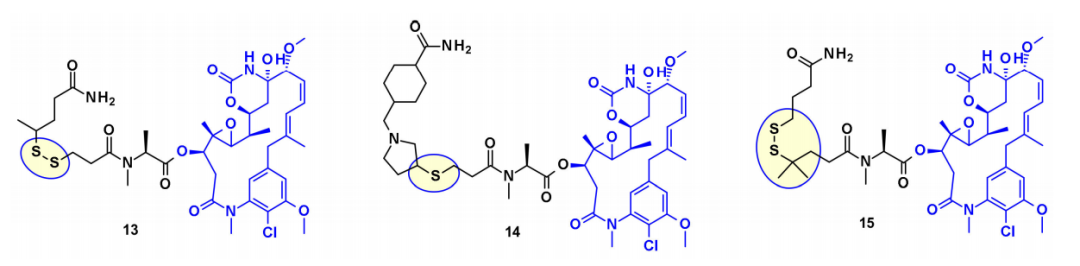 收藏！ADC全景概况（payload，linker，conjugate和Endocytosis）