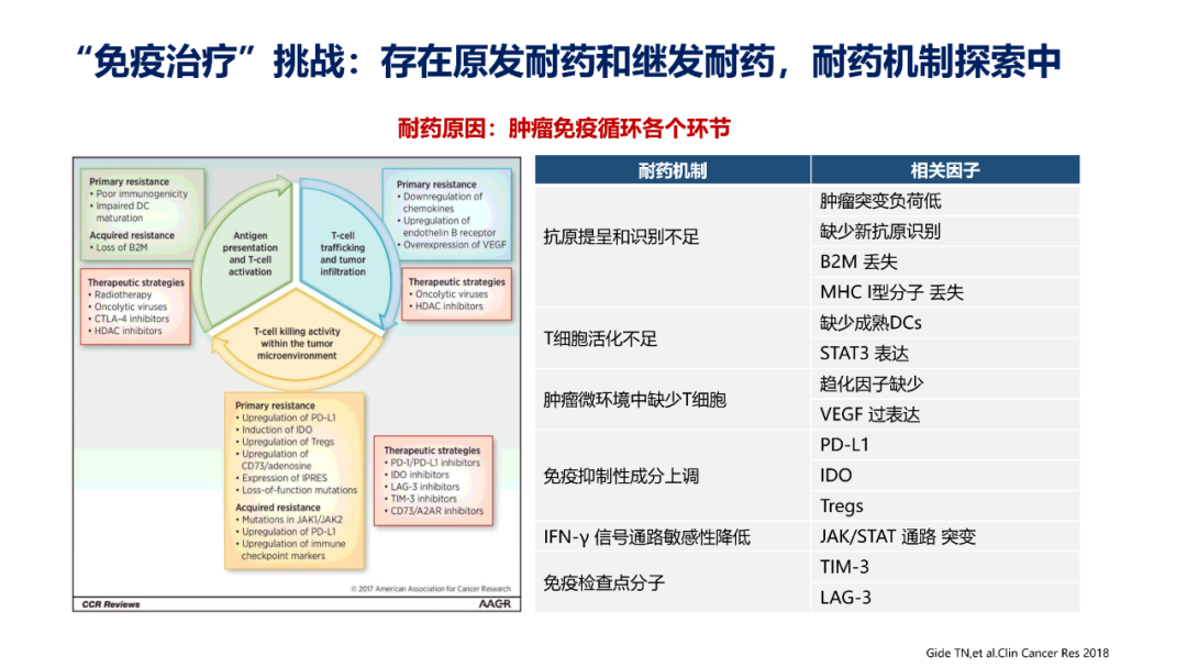 肺癌免疫治疗的机遇与挑战