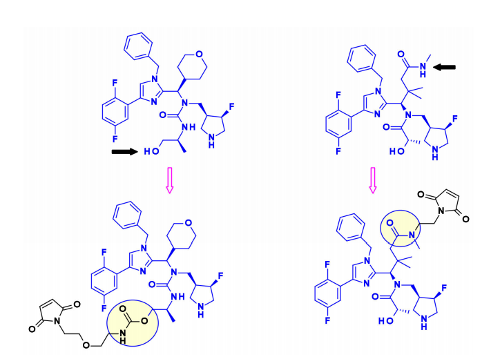 收藏！ADC全景概况（payload，linker，conjugate和Endocytosis）