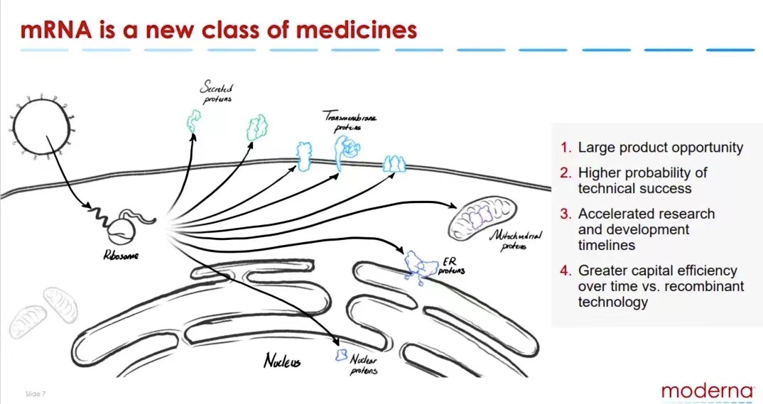 医药公司 | Moderna-mRNA疫苗的先行者