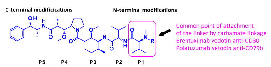 收藏！ADC全景概况（payload，linker，conjugate和Endocytosis）